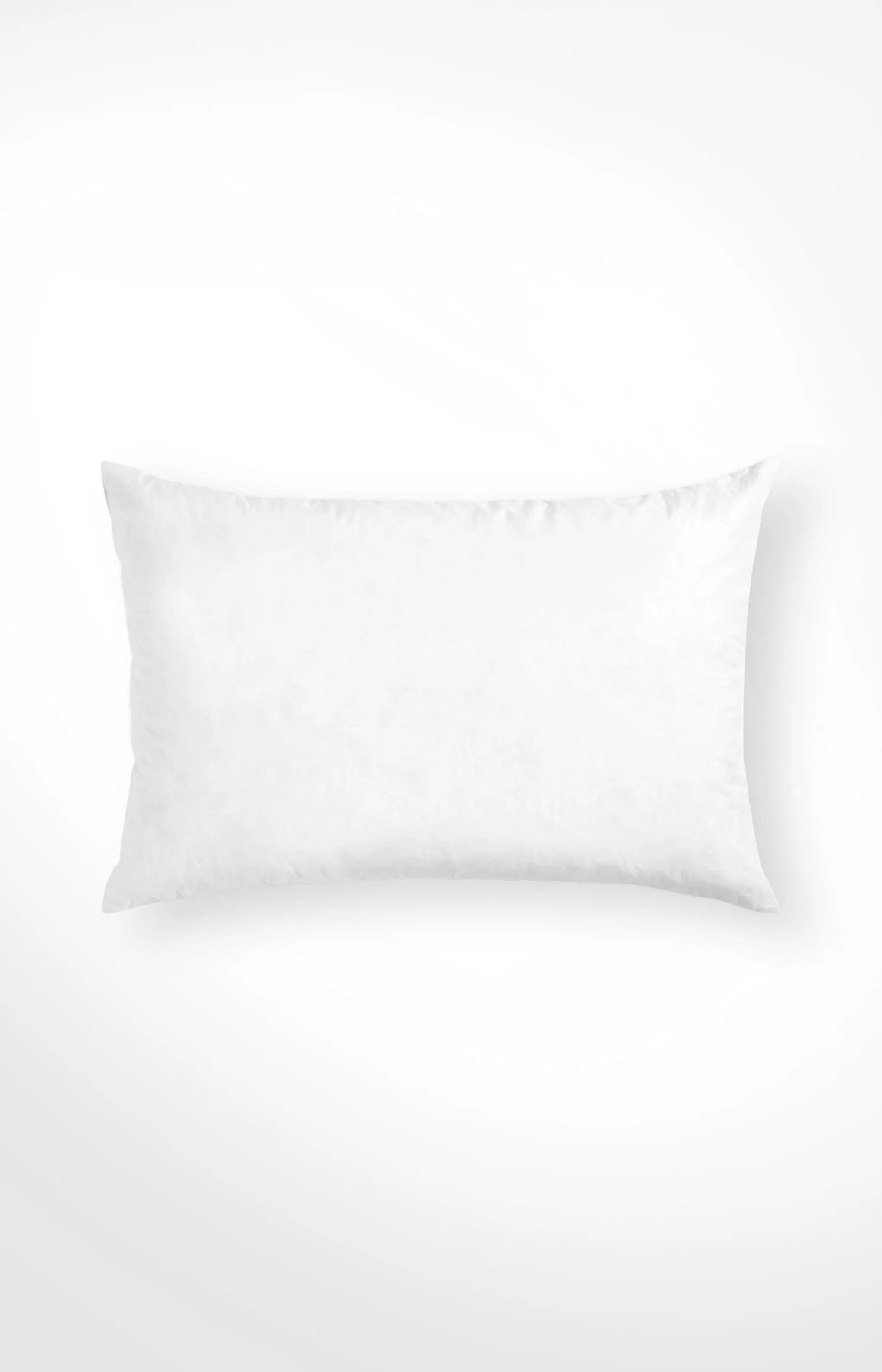 Decorative Cushions | Discover Everything*JOOP Decorative Cushions | Discover Everything Filling Pillow,